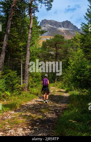 Giovane donna che cammina in una pineta a Lus la Croix Haut con le montagne in lontananza, Drome Francia . Foto Stock