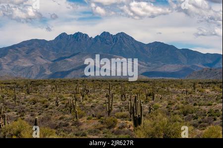 Vista dall'area naturalistica di Four Peaks (Tonto National Forest) verso le Superstition Mountains con Weavers Needle chiaramente visibile. Foto Stock