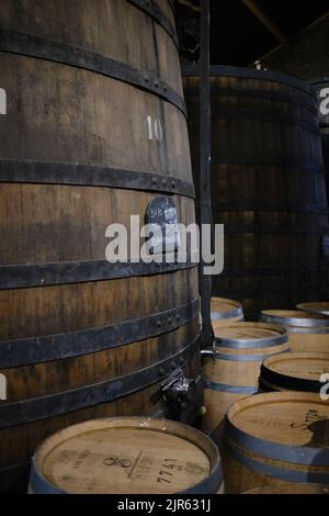 Barili di porto nella Quinta S. Luiz con vino di porto nella tenuta della valle del Douro nel Portogallo settentrionale Foto Stock