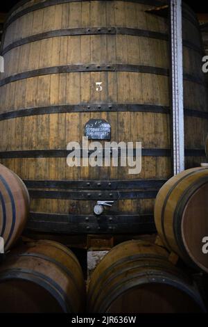 Barili di porto nella Quinta S. Luiz con vino di porto nella tenuta della valle del Douro nel Portogallo settentrionale Foto Stock