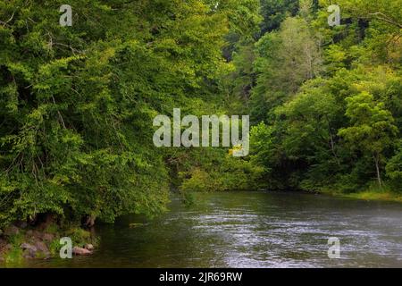 Vista panoramica del fiume South Holston vicino a Bristol, Tennessee. Foto Stock