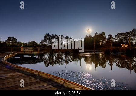 Una splendida vista delle Blue Hills Wetlands con una luna piena che si riflette nell'acqua, e un sentiero in legno, NSW, Australia Foto Stock