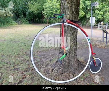 Una bicicletta moderna e lontana, appoggiata ad un albero, Pontcanna Fields al Ponte di Blackweir. Cardiff. Agosto 2022. cym Foto Stock