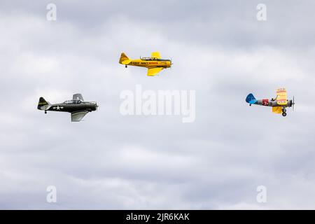 North American AT-6 Texan, Harvard T-6 e Boeing Stearman aerotrasportati al Fly Navy Airshow tenutosi a Shuttleworth il 3rd luglio 2022 Foto Stock