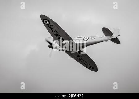 Navy Wings Seafire XVII SX336, aerotrasportato al Fly Navy Airshow tenutosi a Shuttleworth il 3rd luglio 2022 Foto Stock