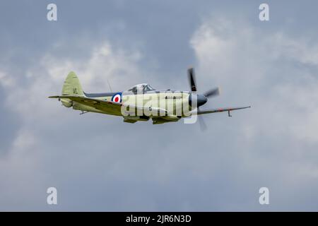 Navy Wings Seafire XVII SX336, aerotrasportato al Fly Navy Airshow tenutosi a Shuttleworth il 3rd luglio 2022 Foto Stock