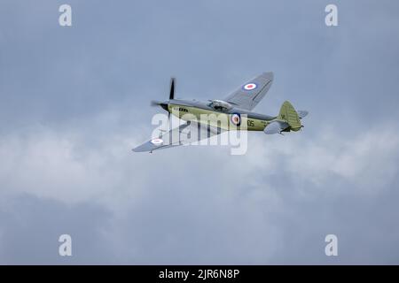 Navy Wings Seafire XVII SX336, aerotrasportato al Fly Navy Airshow tenutosi a Shuttleworth il 3rd luglio 2022 Foto Stock