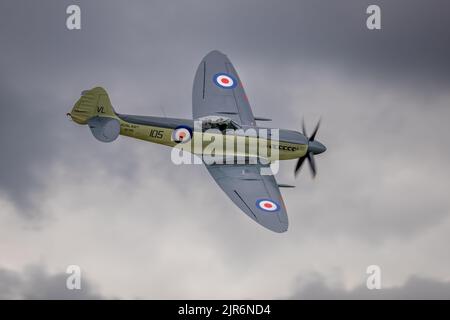 Navy Wings Seafire XVII SX336, aerotrasportato al Fly Navy Airshow tenutosi a Shuttleworth il 3rd luglio 2022 Foto Stock