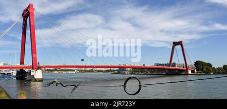 Rotterdam, Paesi Bassi - Agosto 2022: Willems Bridge nel centro della città sul fiume Nieuwe Maas. In primo piano è una scultura Foto Stock