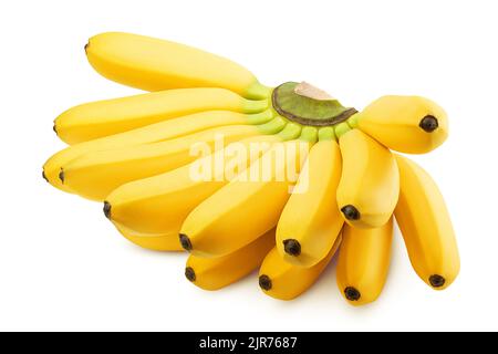 Grappolo di banane isolati su sfondo bianco, percorso di clipping, tutta la profondità di campo Foto Stock