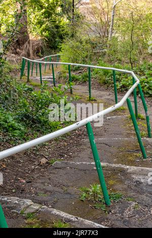 scalinata di pietra attraverso il sentiero tortuoso boschivo con vecchio corrimano e scalinata attraverso copse, passeggiata nel bosco, passerella forestale, copse con sentiero Foto Stock