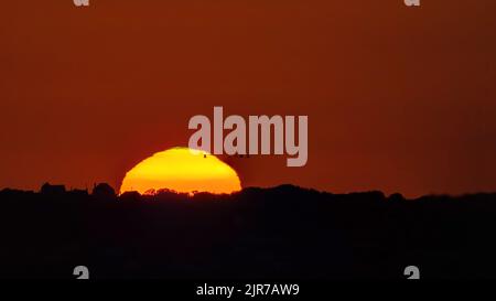 Sole che tramonta con i gabbiani e il fenomeno del flash verde Foto Stock