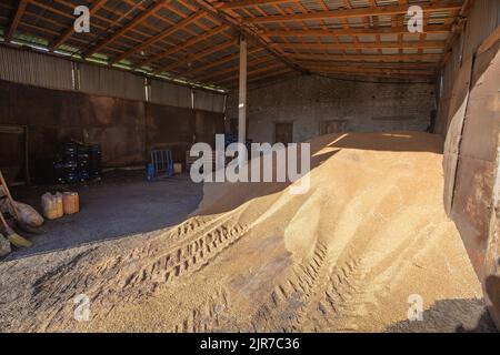 Deposito di grano di grano nel deposito piccolo Foto Stock