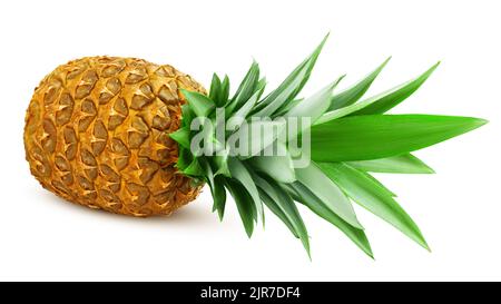 Ananas isolati su sfondo bianco, percorso di clipping, tutta la profondità di campo Foto Stock