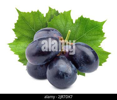 uva viola, isolata su sfondo bianco, tracciato di ritaglio, profondità di campo completa Foto Stock