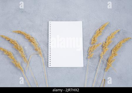 Un taccuino da diario aperto, calendario con erba secca su un tavolo grigio in cemento. Il concetto di business planning. Composizione autunnale. Foto Stock