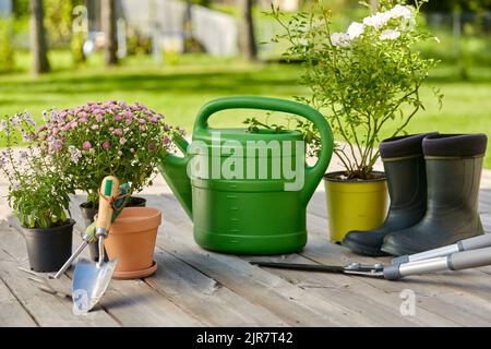 attrezzi da giardino, piantine di fiori e stivali di gomma Foto Stock