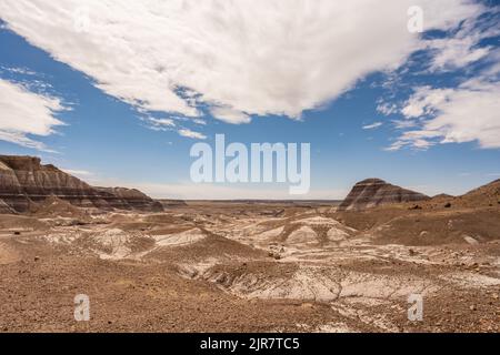 Blue Mesa Trail con formazioni Badlands su entrambi i lati nel Parco Nazionale della Foresta pietrificata Foto Stock