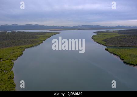 Antenna di mangrovie lungo le rive di Graham Creek sulla Curtis Island Queensland Australia Foto Stock