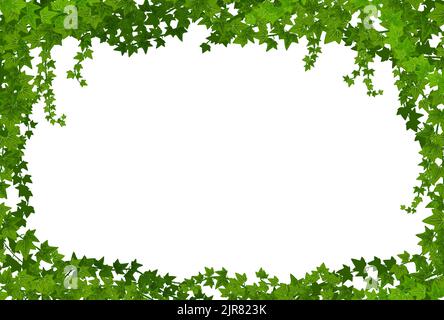 Telaio delle liane di Ivy, bordo vettoriale con le viti di arrampicata, foglie verdi di fogliame di pianta del superriduttore. Fondo vuoto decorativo con rami di liana di edera sulla parete del giardino, isolato realistico 3D foglie Illustrazione Vettoriale