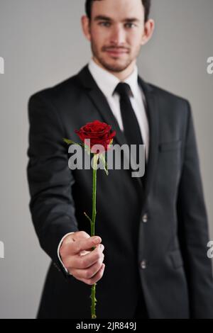 Questa rosa è per te. Foto studio di un uomo ben vestito che tiene una rosa rossa su uno sfondo grigio. Foto Stock
