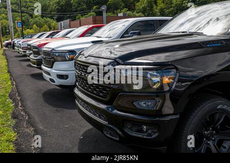 I camion Dodge RAM di colore diverso sono allineati presso una concessionaria in una giornata estiva di sole Foto Stock