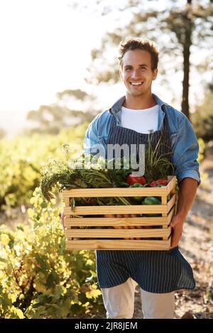 Smetta di parlare ed inizi l'agricoltura. Un giovane che tiene una cassa piena di prodotti appena raccolti in una fattoria. Foto Stock