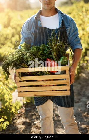 Cresciuto naturalmente e raccolto al picco della freschezza. Un uomo che tiene una cassa piena di prodotti appena raccolti in una fattoria. Foto Stock