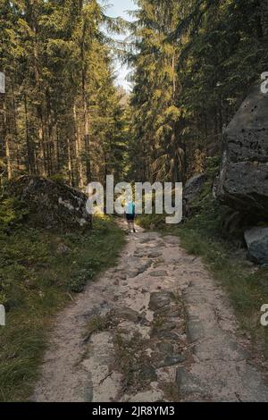 Donna trekking nella foresta Foto Stock