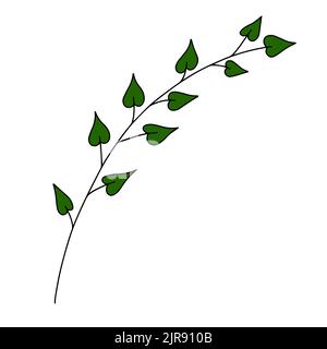 Foglia verde naturale fresca colorata con tratto. Illustrazione vettoriale Illustrazione Vettoriale