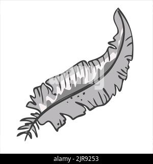 Piuma d'uccello grigia. Illustrazione vettoriale in stile disegnato a mano Illustrazione Vettoriale