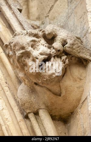 Primo piano di un gargoyle sull'entrata principale delle cattedrali di Salisbury, Inghilterra Foto Stock
