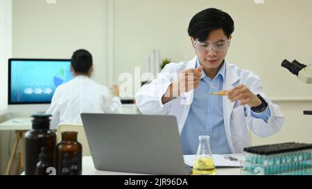 Microbiologo o ricercatore in camice bianco con piastra Petri che esamina campioni in laboratorio di ricerca Foto Stock