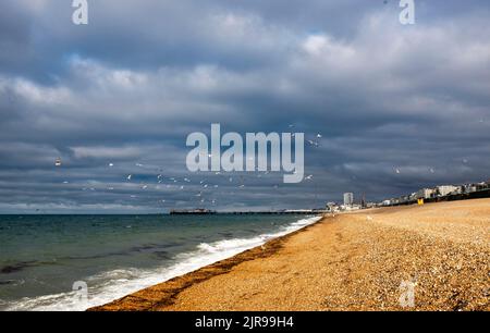 Brighton UK 23rd agosto 2022 - drammatiche nuvole scure si formano sul lungomare di Brighton questa mattina come un periodo di tempo non definito è previsto per i prossimi due giorni prima che il sole caldo è previsto per il fine settimana di festa della banca: Credit Simon Dack / Alamy Live News Foto Stock