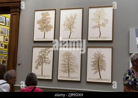 Una panoramica generale della mostra estiva 2022 alla Royal Academy of Arts di Londra Foto Stock