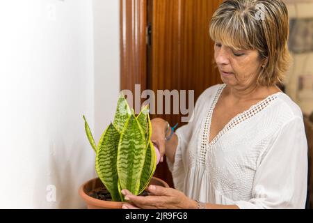 Donna matura che annaffia le sue piante domestiche a casa in un giorno fuori. Foto Stock