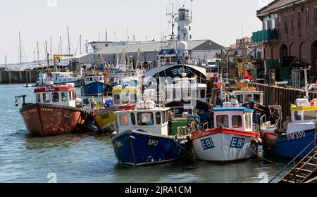 Pescherecci nell'affollato porto di Scarborough, Scarborough, North Yorkshire, Inghilterra, Regno Unito Foto Stock