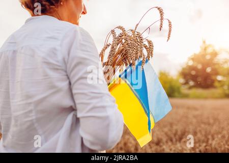 Giornata dell'indipendenza dell'Ucraina. Primo piano delle bandiere ucraine blu e gialle sul campo con il grano. Giornata della bandiera Ucraina Foto Stock