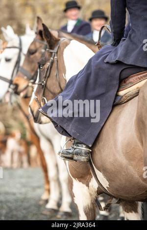 I cavalieri della sella laterale a un incontro di caccia Foto Stock