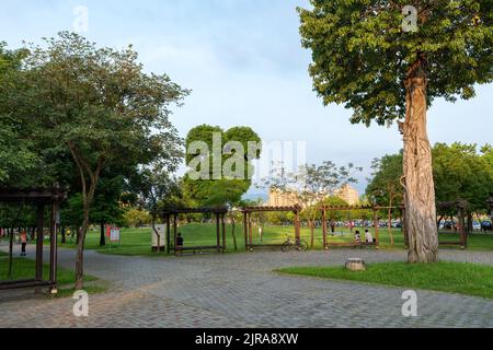 Città di Taichung, Taiwan - 23 agosto 2022 : albero di Topolino nel Parco di Taichung Nanxing, un parco urbano nel distretto di Beitun. Foto Stock