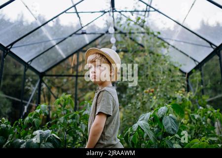 Bambino in piedi in serra ecologica tra le verdure mordere. Foto Stock