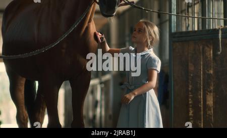 Bambina in abito blu cappotto di pulizia di cavallo di castagno con pennello in navata vicino stalle in stalla Foto Stock