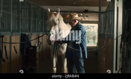 Contadino alto maschio positivo in abiti denim e cappello pulizia e baciare cavallo albino mentre si lavora in stalla su ranch Foto Stock