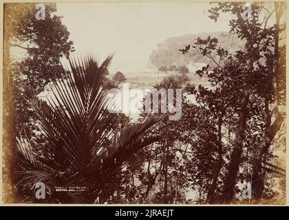 Waiwera, circa 1890, Nuova Zelanda, di Burton Brothers. Foto Stock