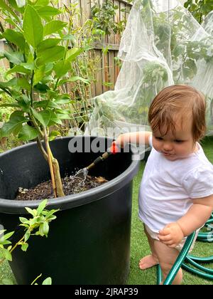 Una bambina in piedi accanto ad una pianta in vaso con un tubo che innaffia un albero Foto Stock