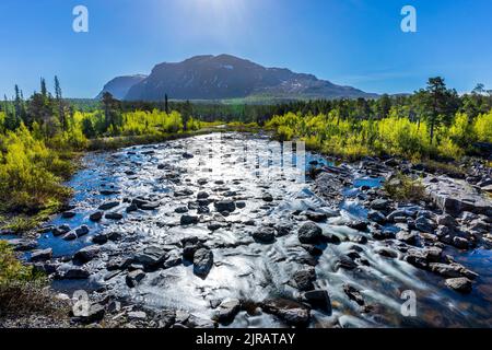 Svezia, Norrbotten County, fiume che scorre nel Parco Nazionale Stora Sjofallet Foto Stock