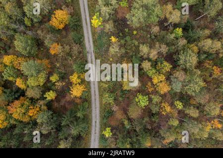 Vista sui droni della strada sterrata che si estende attraverso la foresta autunnale a Steigerwald Foto Stock