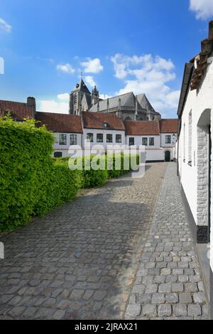 Santa Elisabetta Beguinage, Chiesa di nostra Signora dietro, Kortrijk, Fiandre, Belgio Foto Stock