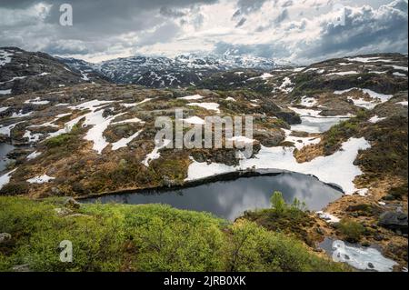 Norvegia, Rogaland, Sauda, viste lungo la strada 520 Foto Stock