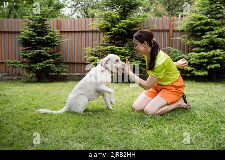 Donna giocosa che nasconde la palla e mostra un gesto di stop a Labrador nel cortile Foto Stock